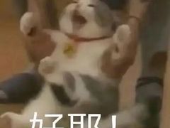 -新盈光·云会所(百丈东路店)