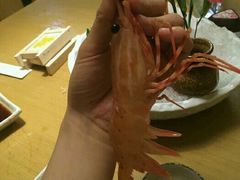 -山之川日料放题(通州店)