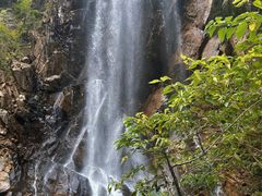 -陕西省红河谷森林公园