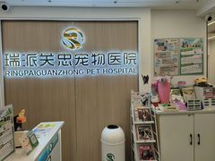 -瑞派·关忠动物医院·猫专科·犬专科(三环新城店)
