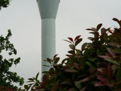 -扬州市茱萸湾风景区