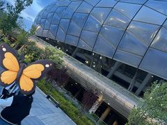 -大连体育中心体育馆