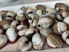 -华盛丰温州大排档(东三环南路店)