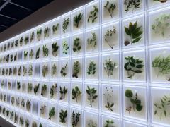 -广东中医药博物馆