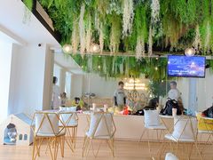 -Husky Go! 哈士奇体验馆·宠物咖啡厅狗咖