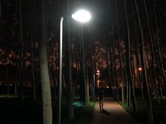 -仁和公园(顺义区)