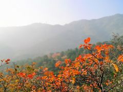 -香山公园