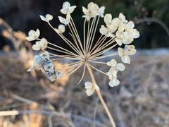 -蟠龙山长城景区