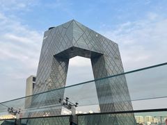 -羲和雅苑•北京烤鸭(国贸商城店)