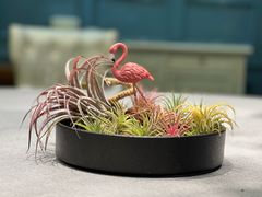 -虹御轩·传承江浙菜(虹桥店)