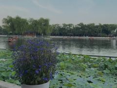 -小王府(什刹海店)