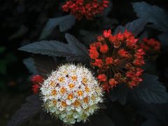 -长春公园(普阳街道)