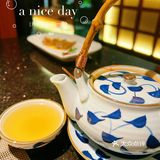 海胆自由的感觉也太赞了吧[胜利]