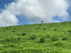 -新疆那拉提国家旅游度假区