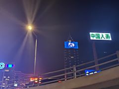 -Big Bus Tours 敞篷观光巴士