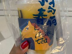 -春丽小马(济南恒隆广场店)