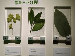 -中国湿地博物馆