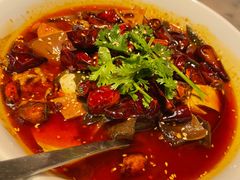 -辛香汇·锦里丨现炒川菜(中南城店)