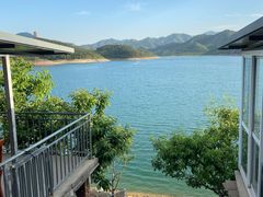 -望湖烤鱼
