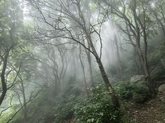 -阳台山自然风景区