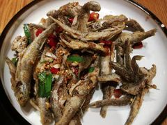 -印象鲵宴·张家界地标美食名片(溪布街店)