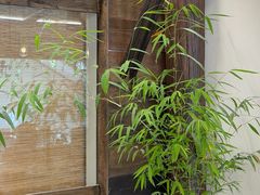 -竹子咖啡bamboo coffee
