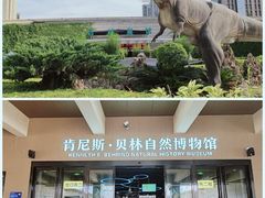 -陕西自然博物馆