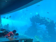 -海棠湾洲际-涛·海底餐厅·美人鱼·自助餐·海底隧道