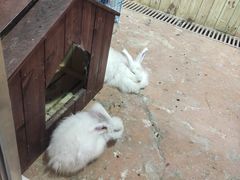 -大连圣亚海洋世界