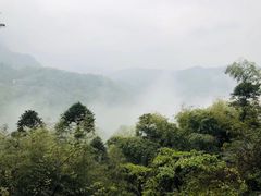 -张醪糟(街子店)