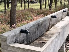 -嘉北郊野公园