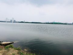 -郑东新区龙湖公共艺术中心