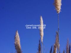 -香港东海海鲜酒家