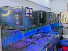 -江南村海鲜馆(洞头店)