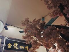 -金龙咖喱