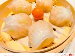 -点都德·毕德寮