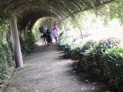 -张公山寨景区