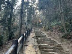 -冶父山国家森林公园