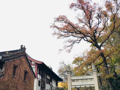 -灵谷景区