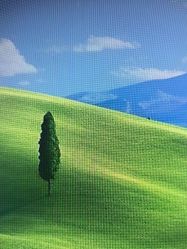 -胜利乐园(胜利购物广场店)