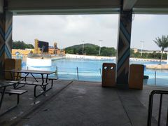 -上海玛雅海滩水公园