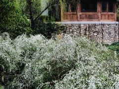-中国茶叶博物馆(双峰馆区)