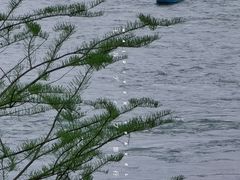 -金海湾滨江公园