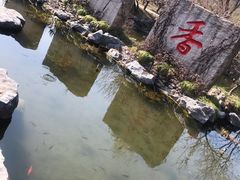 -香雪海