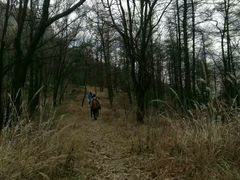 -沂蒙山旅游区云蒙景区(蒙山国家森林公园)
