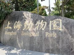 -上海野生动物园