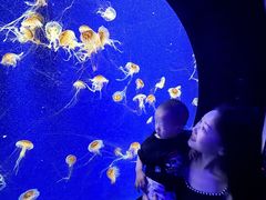 -成都浩海立方海洋公园