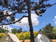 -长春市南湖公园