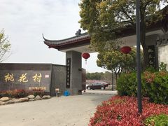 -南汇桃花村