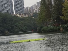 -重庆彩云湖湿地公园